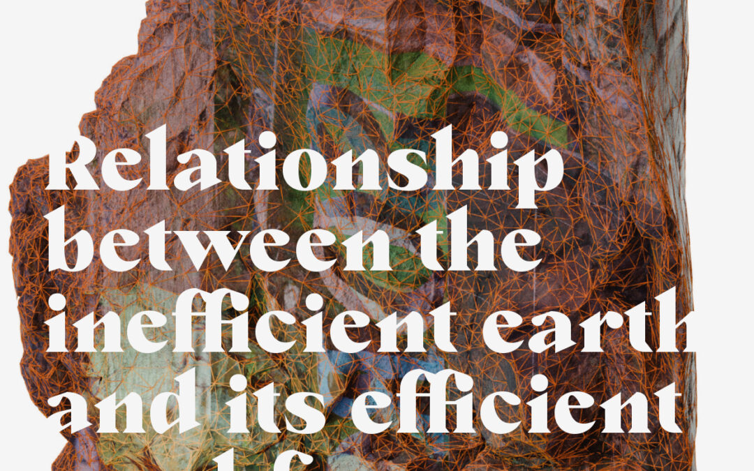Relationship between the inefficient earth and its efficient workforce